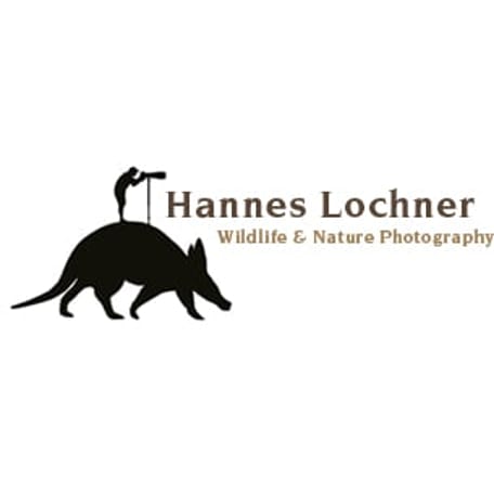 Hannes Lochner