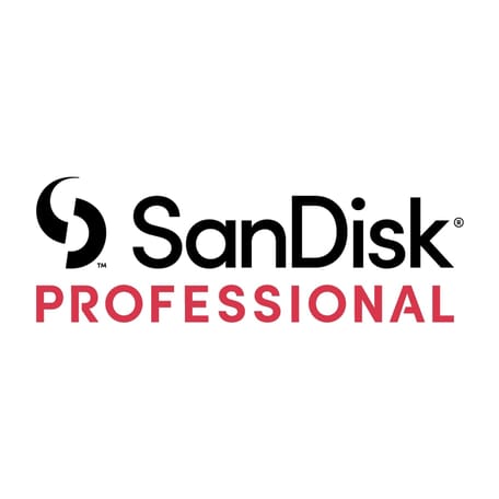 Sandisk Professional