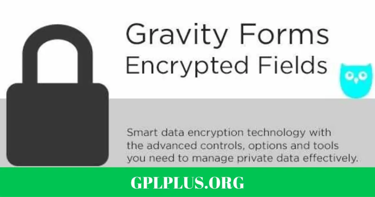 Gravity Forms Encrypted Fields Addon GPL